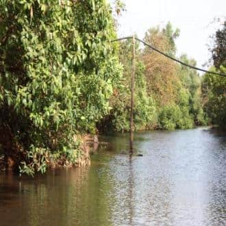 Experience The Lush Green Interiors Of The Konkan Land, Ratnagiri 4